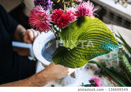 Hands with Large green hosta leaf and colorful asters . sensory plant therapy, tactile floral garden, velvet leaf plants, sensory botanical corner Hands with Large green hosta leaf and colorful asters . sensory plant therapy, tactile floral garden, velvet leaf plants, sensory botanical corner 136699549
