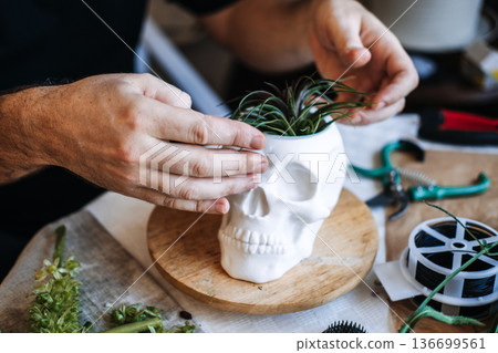 hands place succulent and air plant into hite skull planter on wooden base. skull planter, memento mori aesthetic, dark cottagecore, unconventional planters, macabre decor trends 136699561
