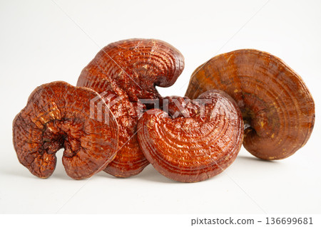 Lingzhi or Reishi mushroom isolated on white background with clipping path. 136699681