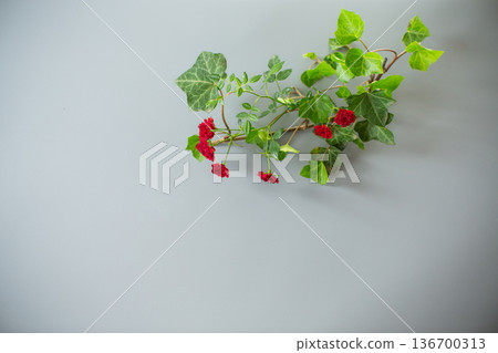 miniature red roses with clear space for text on gray background 136700313