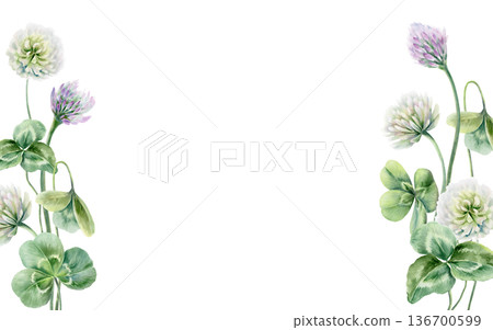 Template of delicate bouquet of Shamrock leaves,white,lilac flowers,symbol of power in herbal medicine,womens health supplements.Illustration in soft watercolor textures for natural remedy branding Template of delicate bouquet of Shamrock leaves,white,lilac flowers,symbol of power in herbal medicine,womens health supplements.Illustration in soft watercolor textures for natural remedy branding 136700599