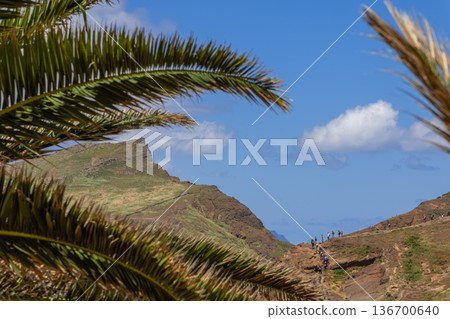 Groups of hikers follow a narrow path on Ponta de Sao Lourenco, Madeira, across dry volcanic cliffs Groups of hikers follow a narrow path on Ponta de Sao Lourenco, Madeira, across dry volcanic cliffs 136700640