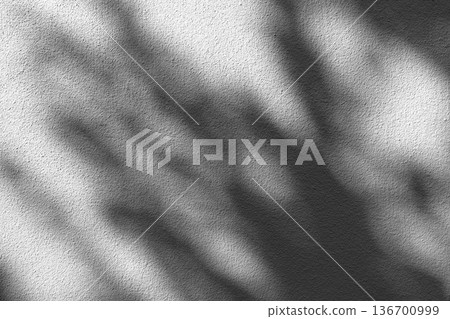 Sunlight filtering through the trees reflected on a white wall, soft light and shadow, background material Sunlight filtering through the trees reflected on a white wall, soft light and shadow, background material 136700999