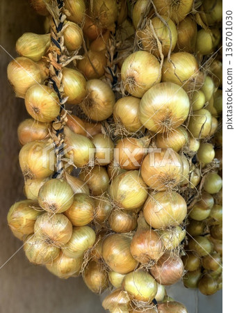 Traditional Onion Braids for Storage Traditional Onion Braids for Storage 136701030