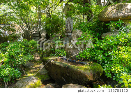 Chozuya fountain at Daisho-in Temple on Miyajima Island, Japan 136701120
