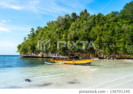 Traditional boat on Lia beach, Waleakodi Island, Togian archipelago, Sulawesi, Indonesia 136701140