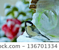 On a snowy day, a great tit came to the bird feeder. 136701334