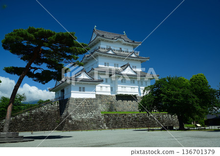 Odawara Castle Odawara Castle 136701379