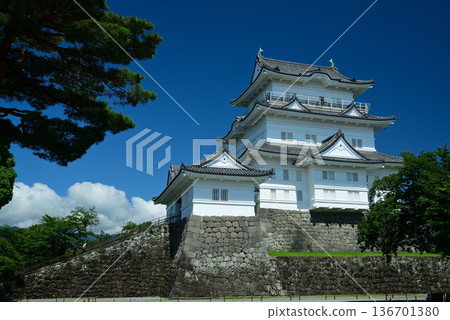 小田原城 136701380