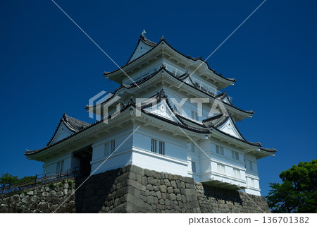 小田原城 136701382