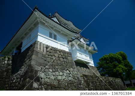 小田原城 136701384