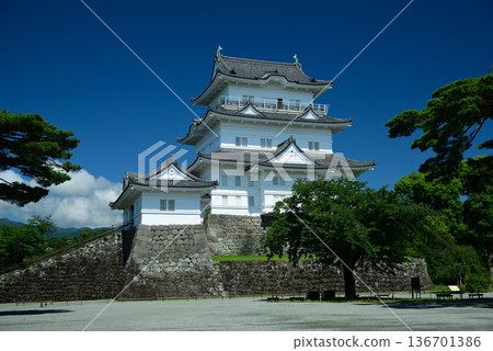 小田原城 136701386