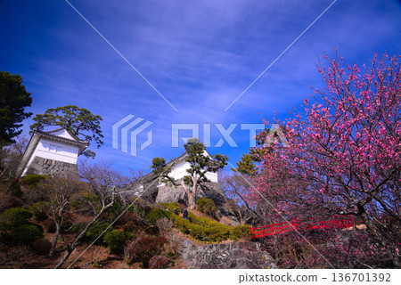Odawara Castle 136701392