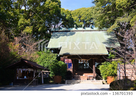 Odawara Castle 136701393