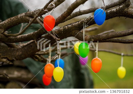 Bright plastic Easter eggs hanging from bare tree branches outdoors. Festive spring decoration with vibrant colors and shallow depth of field. Bright plastic Easter eggs hanging from bare tree branches outdoors. Festive spring decoration with vibrant colors and shallow depth of field. 136701832