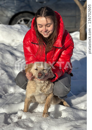 Animal shelter volunteer takes care of dog. Dog at the shelter. Animal shelter volunteer takes care of dog. Dog at the shelter. 136702605