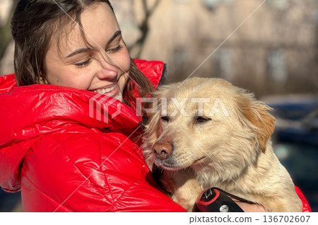 Animal shelter volunteer takes care of dog. Dog at the shelter. Animal shelter volunteer takes care of dog. Dog at the shelter. 136702607