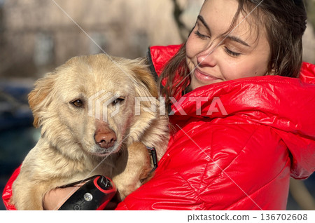 Animal shelter volunteer takes care of dog. Dog at the shelter. Animal shelter volunteer takes care of dog. Dog at the shelter. 136702608
