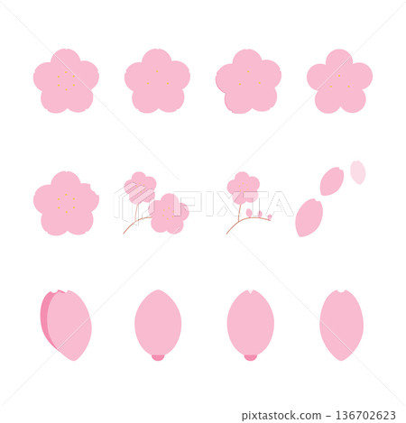 簡約櫻花圖示集：包含花朵、花蕾、花瓣和枝條等春季元素（扁平化設計） 136702623