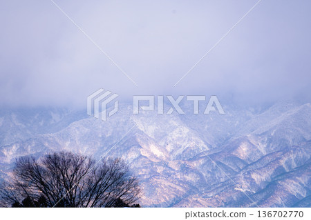 Snow-capped mountains and tree silhouettes dyed in the sunset: Purple winter mountains and clouds Snow-capped mountains and tree silhouettes dyed in the sunset: Purple winter mountains and clouds 136702770