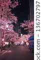 Beautiful illuminated cherry blossoms on the streets of Ikebukuro at night 136702797