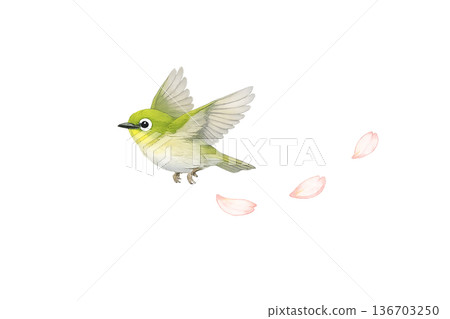 Bird flying petals spring watercolor natural illustration clipping material Bird flying petals spring watercolor natural illustration clipping material 136703250