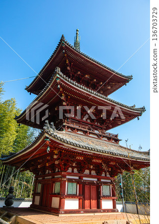從高處俯瞰西國寺三重塔 從高處俯瞰西國寺三重塔 136703729
