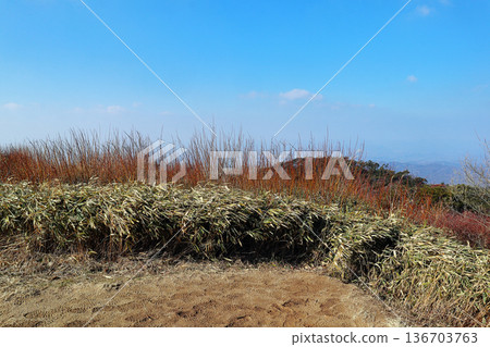 從六甲山頂眺望（兵庫縣） 136703763