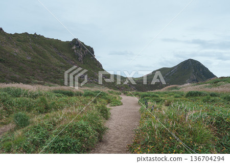 Trail  136704294