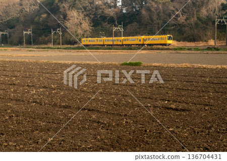 桑吉鐵道北星線上的列車沿著剛犁過的稻田行駛。 桑吉鐵道北星線上的列車沿著剛犁過的稻田行駛。 136704431