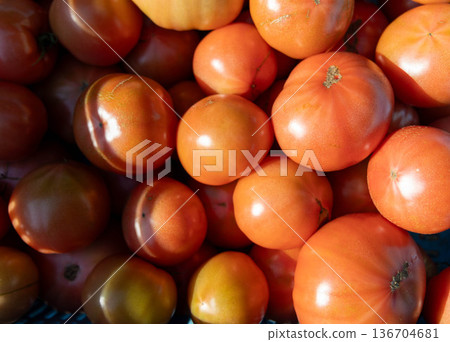 Lots of tomatoes 136704681