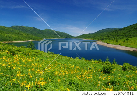 Lake Nozori and the Hemerocallis flower field Lake Nozori and the Hemerocallis flower field 136704811