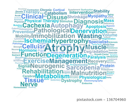 Atrophy Word Cloud. Key Terms in Cellular Degeneration and Muscle Wasting 136704960