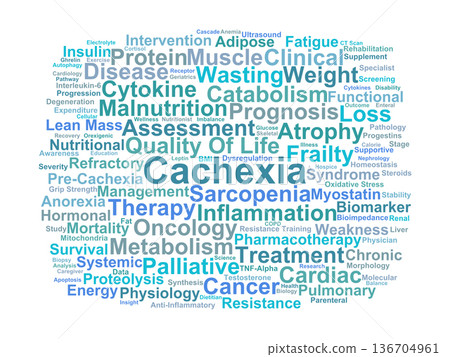 Cachexia Word Cloud. Key Concepts in Metabolic Wasting and Muscle Atrophy Pathology 136704961