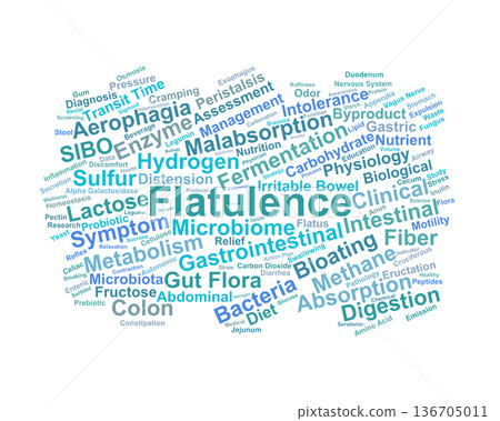 Flatulence Word Cloud. Essential Terms in Digestive Physiology and Intestinal Gas Dynamics Flatulence Word Cloud. Essential Terms in Digestive Physiology and Intestinal Gas Dynamics 136705011