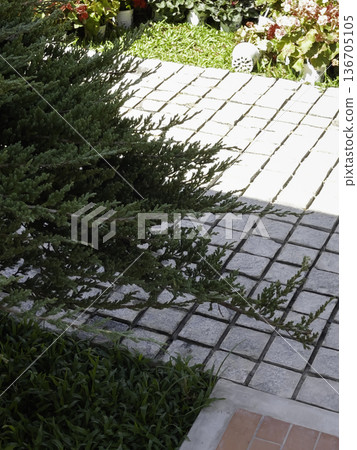 Natural flower landscaping in home garden Natural flower landscaping in home garden 136705105