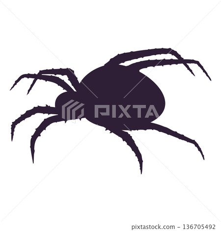 spider black silhouette spider black silhouette 136705492