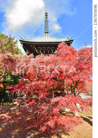 秋葉和淘寶塔 秋葉和淘寶塔 136705696
