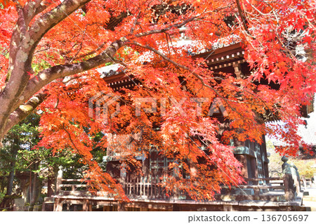 秋葉和淘寶塔 136705697