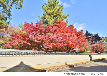 井岡寺秋葉 井岡寺秋葉 136705702