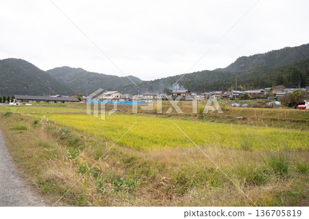 國家景觀 136705819