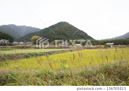 rural landscape in the mountains rural landscape in the mountains 136705823