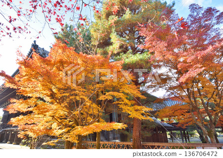 Autumn leaves of Jinggang Temple Autumn leaves of Jinggang Temple 136706472