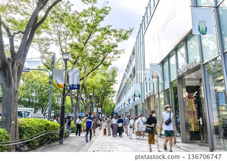 Tokyo Shibuya cityscape Omotesando 136706747