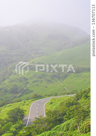 夏季的伊豆半島伊豆山脊步道,從小達摩山的阿塞比原眺望達摩山,此時霧氣散去。 夏季的伊豆半島伊豆山脊步道,從小達摩山的阿塞比原眺望達摩山,此時霧氣散去。 136707113