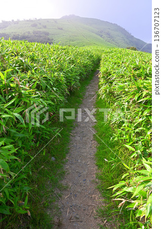 伊豆半島 - 夏季伊豆山脊步道 - 山霧中的達摩岳 - 熊笠步道 136707123