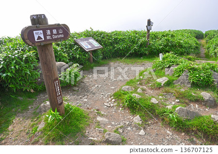 伊豆半島伊豆山脊步道:夏季的達摩山頂峰 伊豆半島伊豆山脊步道:夏季的達摩山頂峰 136707125
