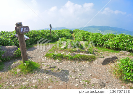 Izu Peninsula's Izuyama Ridge Trail: The summit of Mount Daruma in summer Izu Peninsula's Izuyama Ridge Trail: The summit of Mount Daruma in summer 136707128