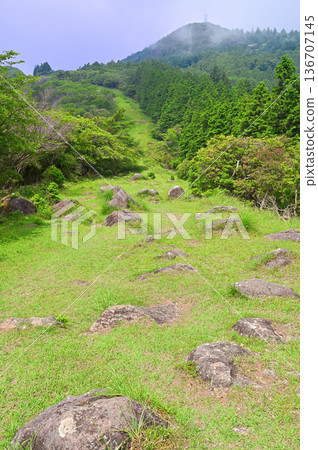 Izu Peninsula's Izu Mountain Ridge Trail: Summer-colored trails on the Darumayama Plateau and Mt. Kinkanzan Izu Peninsula's Izu Mountain Ridge Trail: Summer-colored trails on the Darumayama Plateau and Mt. Kinkanzan 136707145