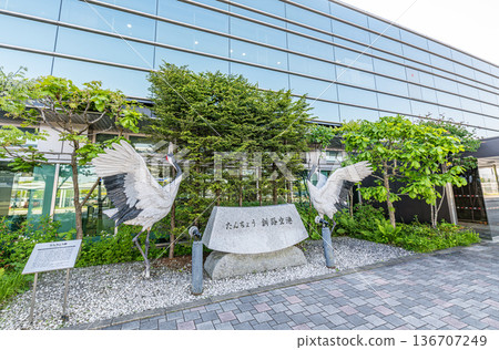 北海道釧路市－晴朗日子裡的釧路機場（丹頂釧路機場）和丹頂鶴紀念碑 136707249